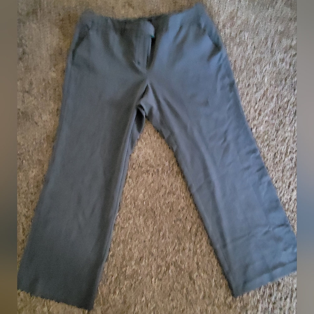 Women's Daisy Fuentes Grey Dress Pants Size 18